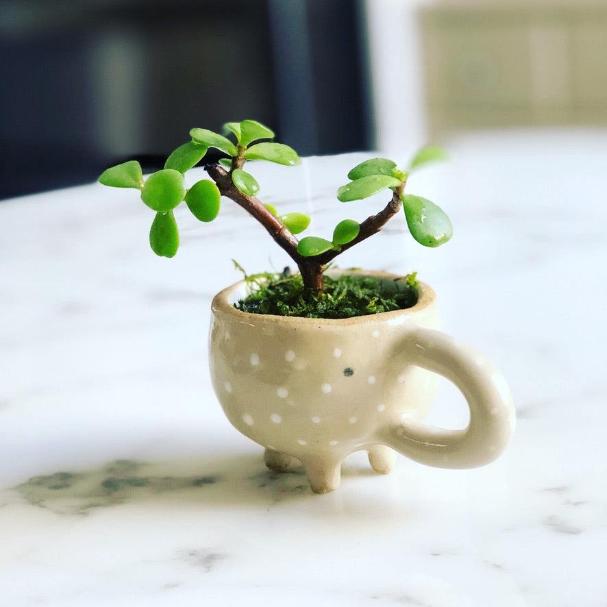 Handmade Tiny Elephant Pot – Moon Pottery | One-of-a-Kind, Espresso Coffee Shot Cup, Perfect Gift