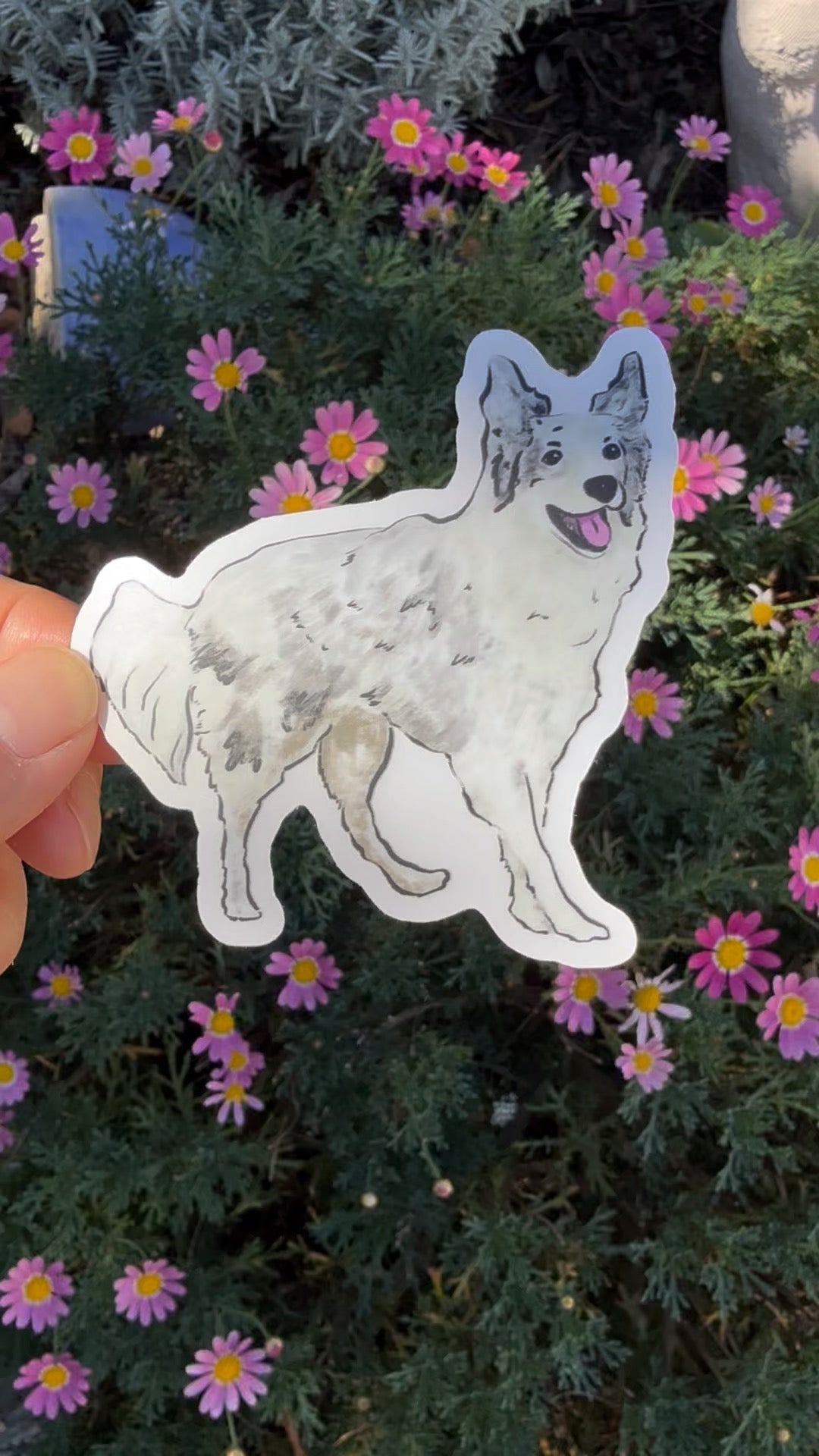 Border Collie Dog - Waterproof Vinyl Sticker,  3.0"