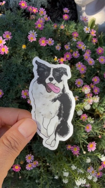 Border Collie Dog - Waterproof Vinyl Sticker,  3.0"